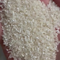 大量批发碎米、白米