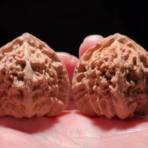 白狮子（三角白）