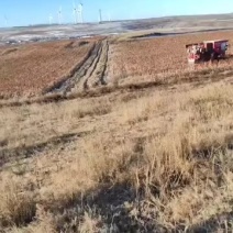 出租两千亩土地，位于张家口二台，无盐无碱，价格面议
