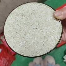 稻米