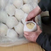 皇冠梨出库中