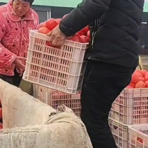 欢迎抢单订购