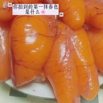 鲈鱼籽，全国冷链发货，标价就是卖价