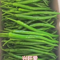 二荆条辣椒