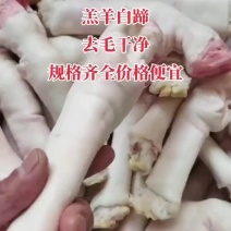 精修羊蹄工厂直发