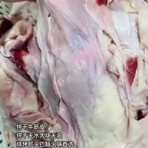 纯干牛筋皮
