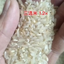三选米现货
