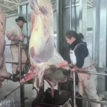 马肉