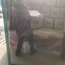 陕西蒲城优质贡梨大量供货中