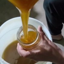 ******有需要的可以联系只对接有诚信的
