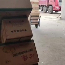 河北梨基地