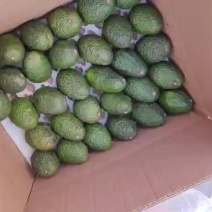 牛油果