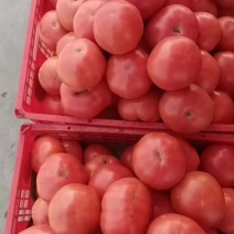 欢迎抢购