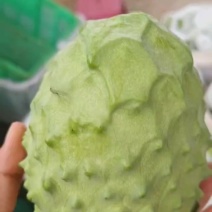 凤梨释迦果