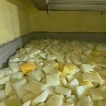 桦树汁原料