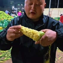 《实力》水果玉米用指甲轻轻一掐，汁水便瞬间迸发营造价值高