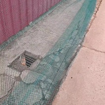 拉网