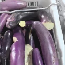 茄子干精品一手货源诚信经营可电联详谈