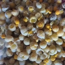 熟鹌鹑蛋三十吨