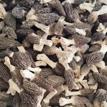 干羊肚菌
