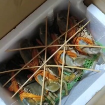 三门青蟹