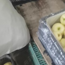 冷库加工成品黄元帅质量好表光亮，大量有货河北昌黎。