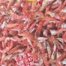 烘烤干虾