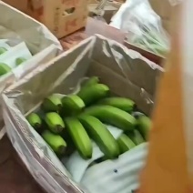 云南高原香蕉