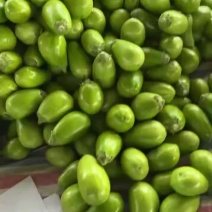 河南精品青茄产地直发质量上乘一手货源对接商超市场