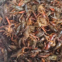 洪湖小龙虾