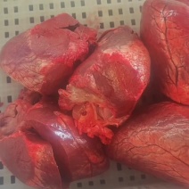 新鲜大公牛心