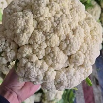 徐州花菜持续供应中