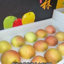 山东有机维纳斯苹果。王林苹果，宇宙翠苹果，糖木甜苹果