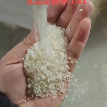 发湖北湖南江西广东广西抛光食品级酿酒米肠香粥香碎米
