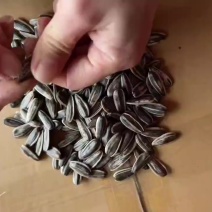 低价处理一批未拆封的白味瓜子，视频实物拍摄。先得先到，