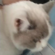 中山自己来拿