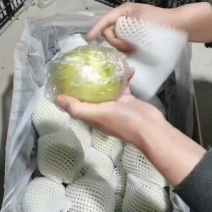 精品山西玉露香梨