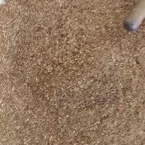 枣粉高糖高能量育肥快牛羊鸡鸭鹅都爱吃