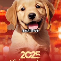 买白合