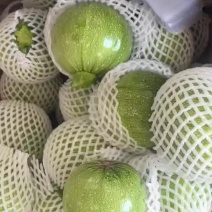 小南瓜，嫩南瓜