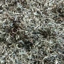 普洱熟茶，温和不刺激。散茶，500g