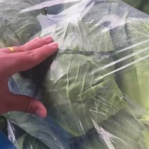 精品包菜