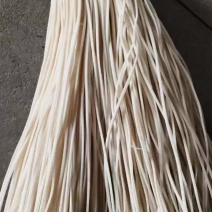 灯芯草