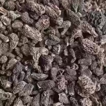 正品精选野生羊肚菌，假一赔万