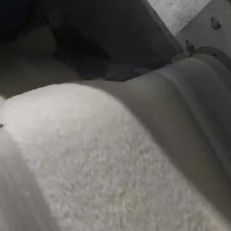 东北珍珠米