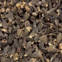 种植羊肚菌硬薄