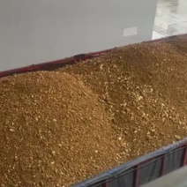 鲜菌渣
