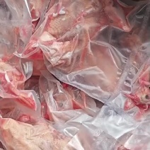 厂家直销一级二级鸽子合个规格都有货