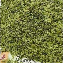 山西新鲜榆钱上市了，货量大价格便宜，需要的老板赶快下手。