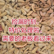 特价脱皮五香打手瓜子，陈皮果茶西柚